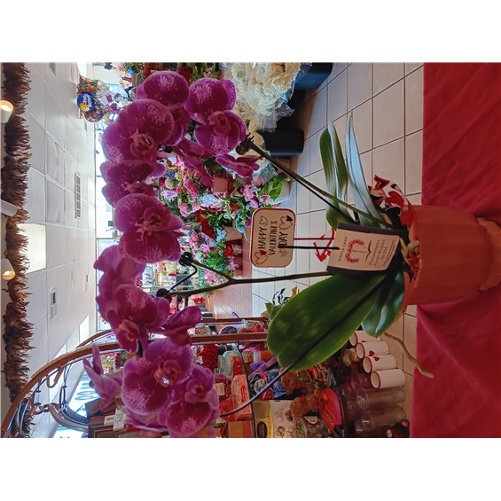 b1d5a54a-fdfd-46f4-be9d-8294387f68eb-1_all_21964