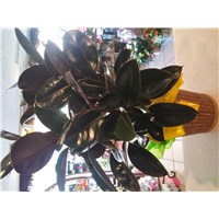 20231102_131749_HDR_(1)