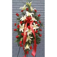 20240124_125716(1)_(1)