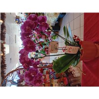 b1d5a54a-fdfd-46f4-be9d-8294387f68eb-1_all_21964